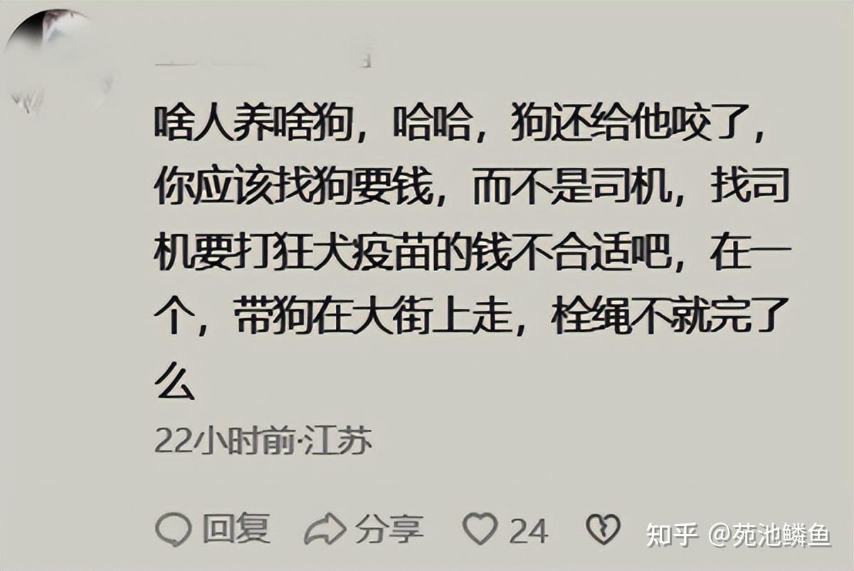 被自己的狗咬了,找别人索赔,车主:我不接受 - 知乎