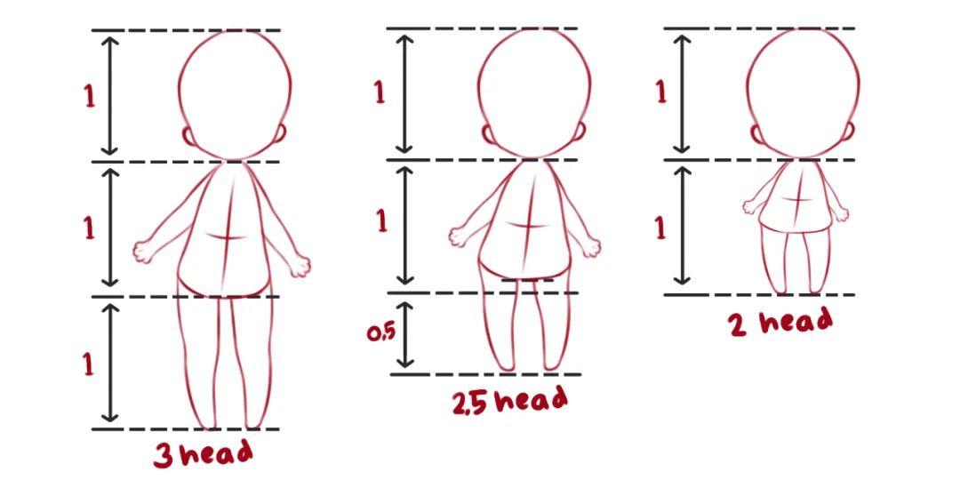 儿童身体比例结构图图片