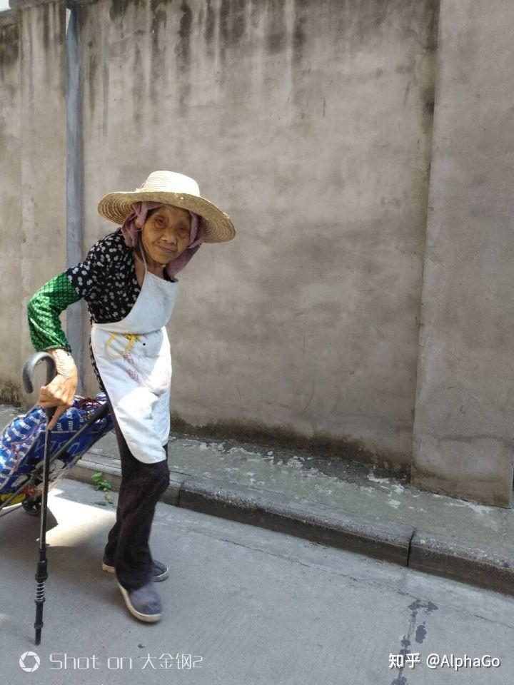 复兴拾荒维黄昏,翁妪耄耋近夕阳.合作化时捐田地,以粮为纲献青春.