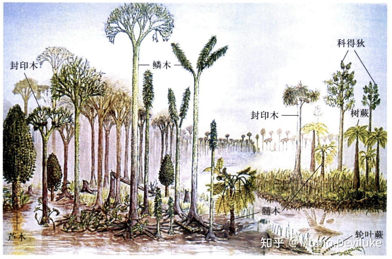 生物竞赛专题整理——进化生物学笔记(二) - 知乎