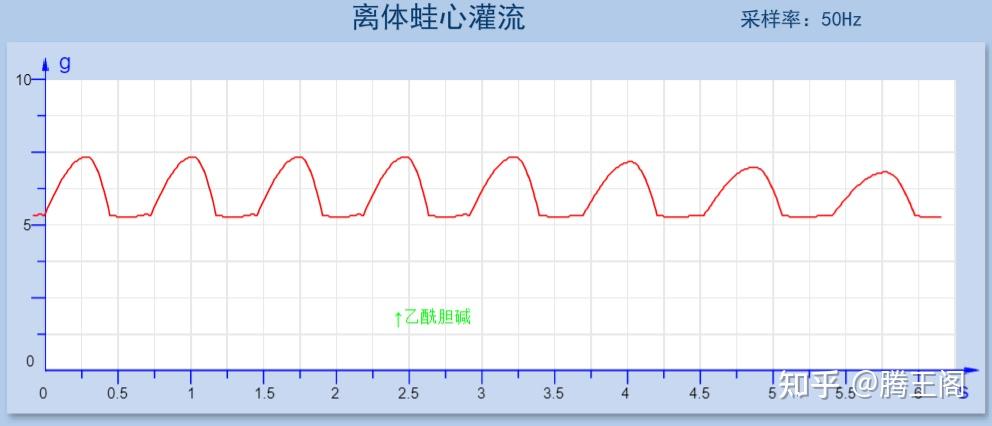 机能学实验系列离体蛙心灌流