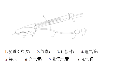 一次性使用医用喉罩注册技术审查指导原则(2018年修订)(2018年第107号