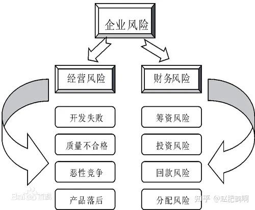 财务风险管理类型的论文怎么写