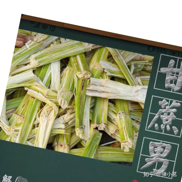 甘蔗男是什么意思