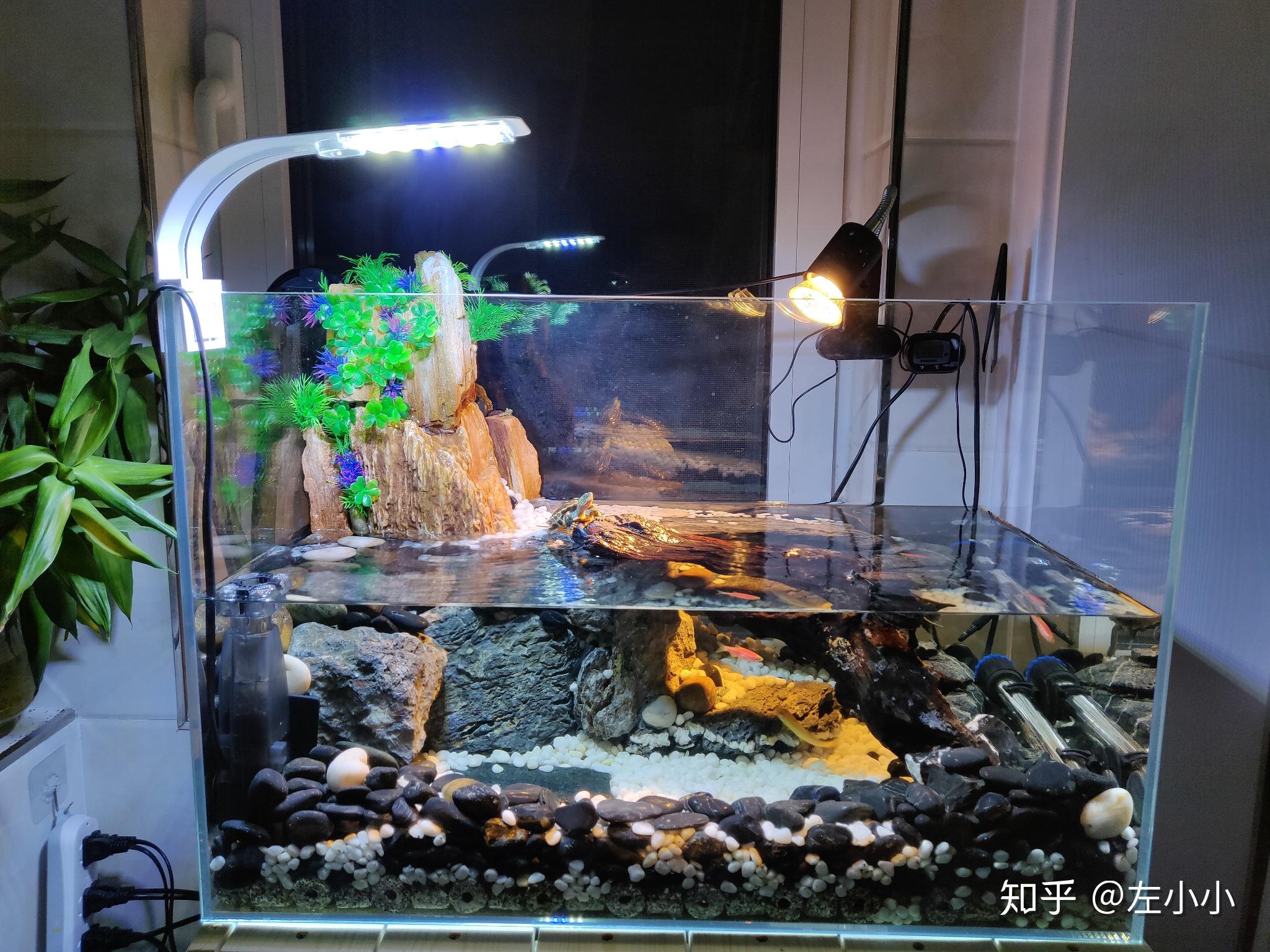 爬虫宠物 黄缘龟箱 幼龟乌龟蜥蜴 盆设备排水箱 透明亚克力玻璃板-淘宝网