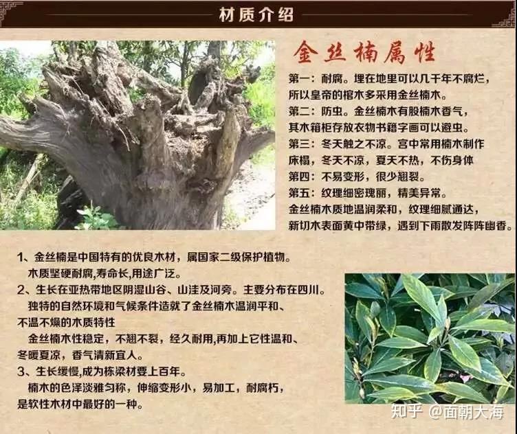 金丝楠木的科普与简易辨别.