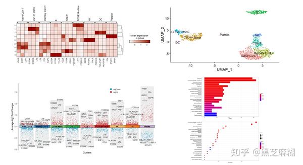 annotation_by_seurat