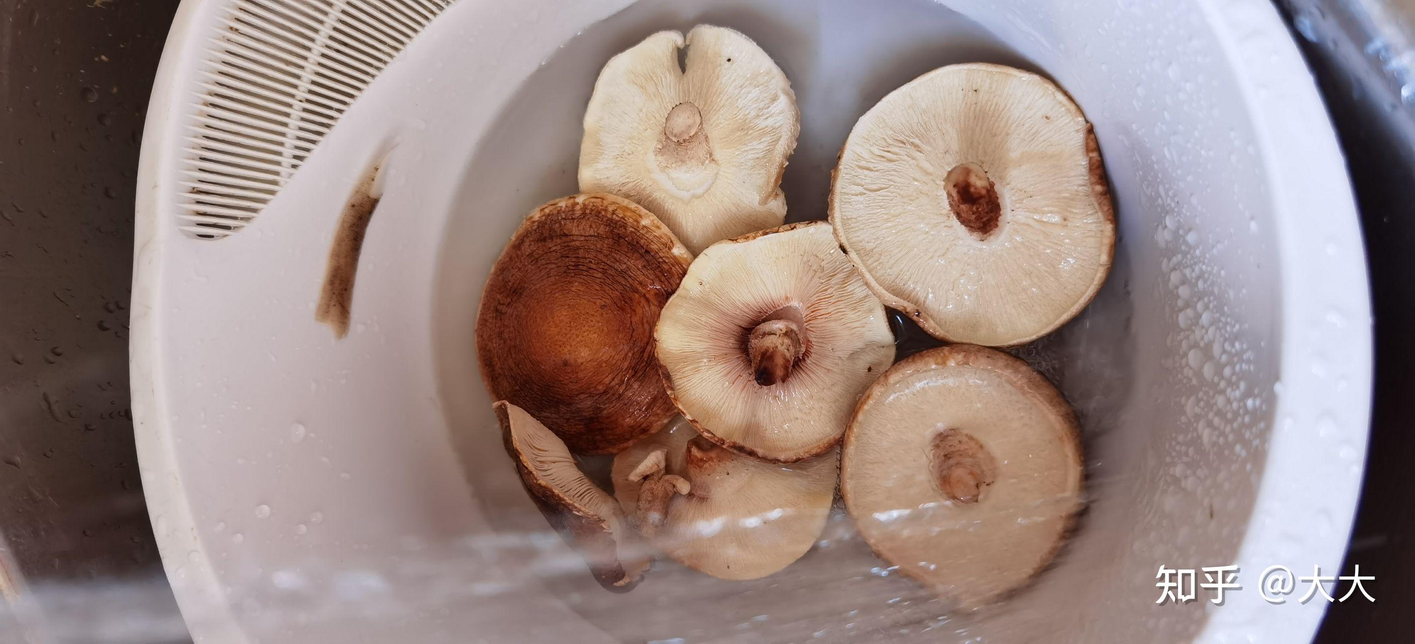 第一次到菜市场买到了假香菇