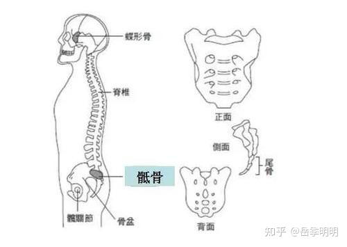 會引起腰下部或腰骶部出現疼痛現象,而且疼痛的位置較深難以確認