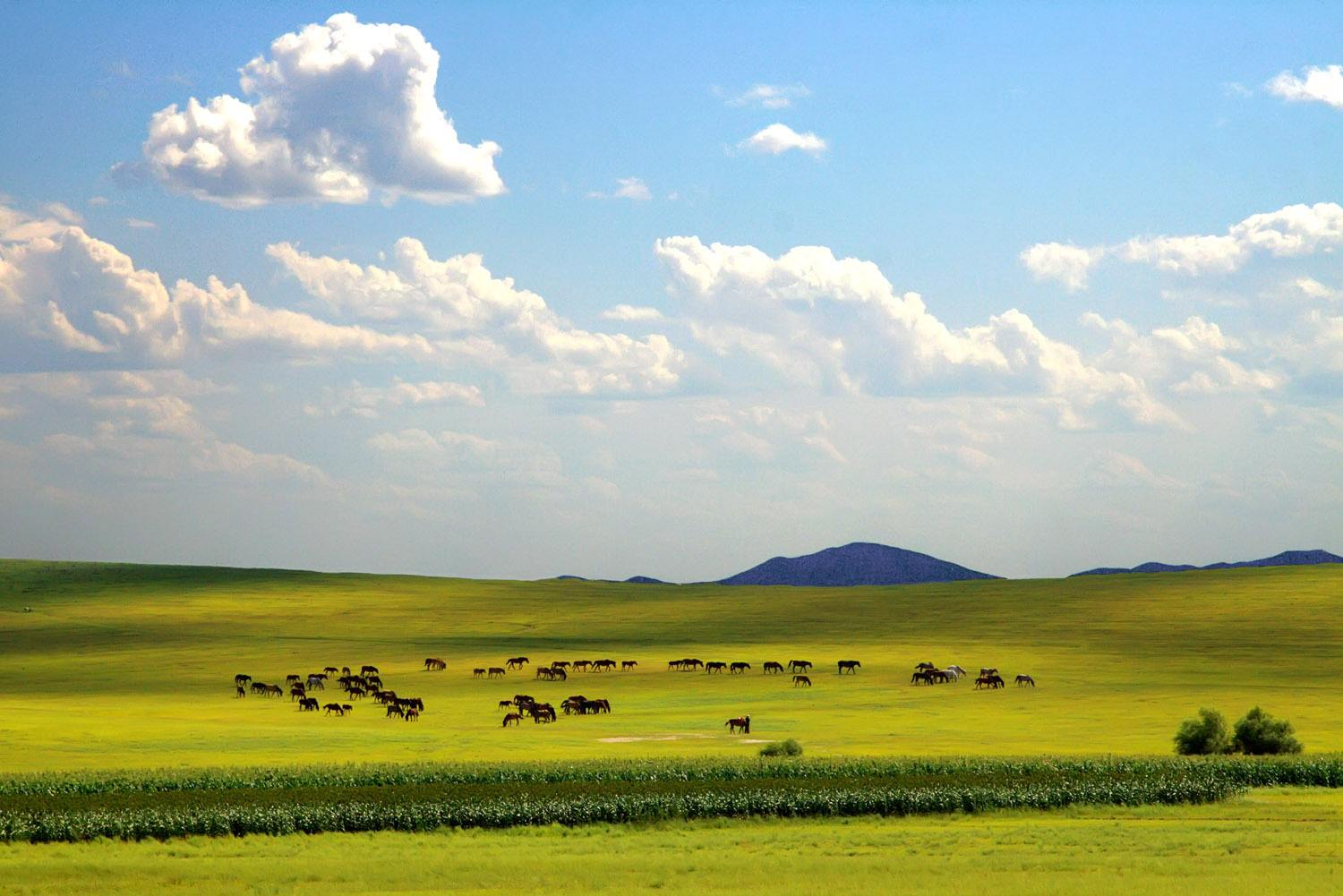 周杰伦有没有大气磅礴的歌曲?