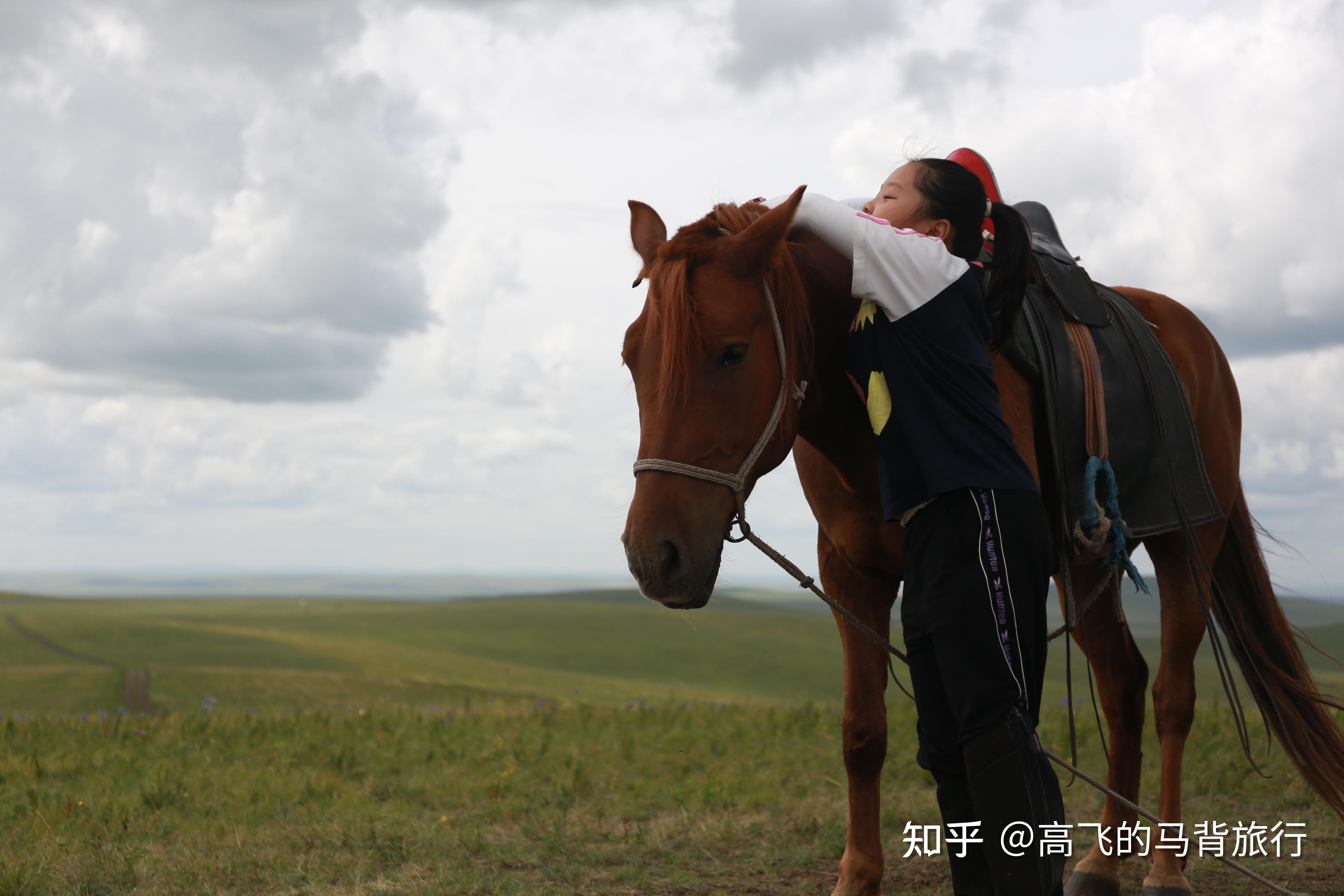 马背旅行 感受马术带来的愉悦 - 知乎