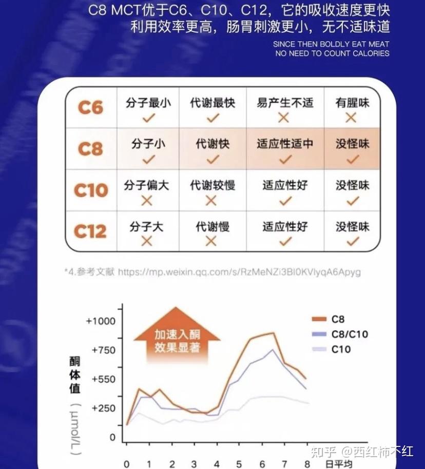 生酮减肥法是什么意思图片