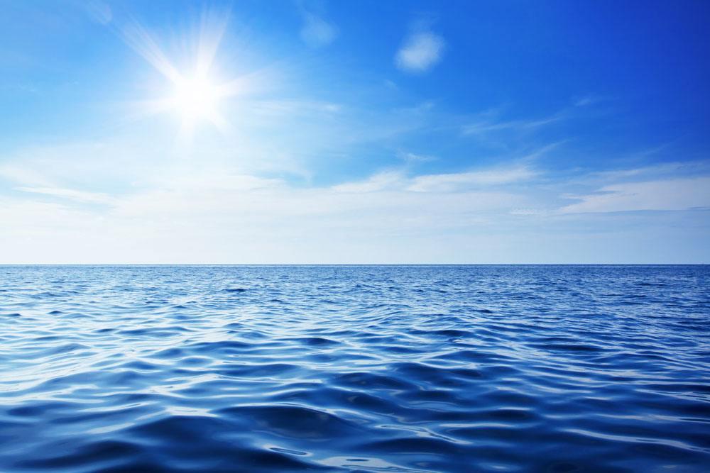 大海永远的向往