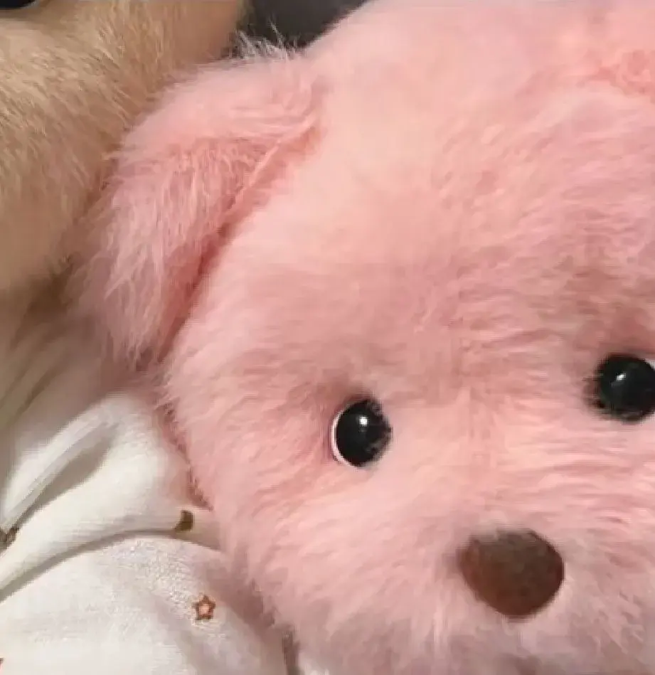 149张好看的情侣头像值得分享