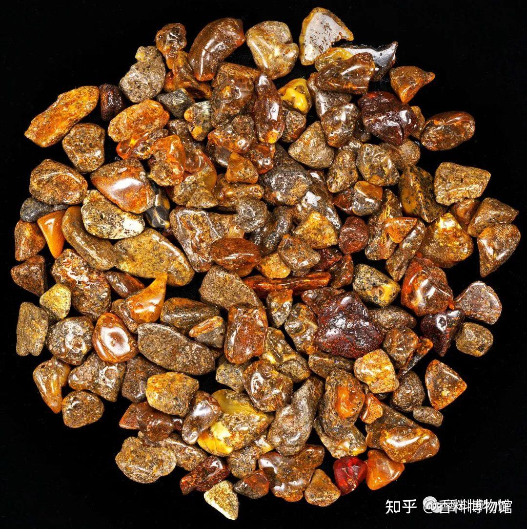 琥珀香是什么香琥珀调是什么调