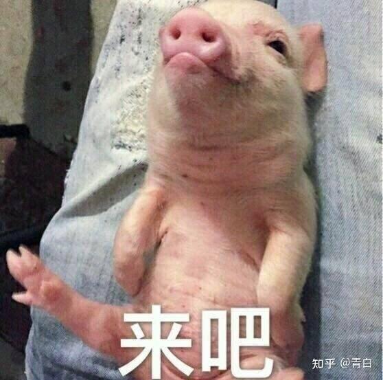 相信我，这是你能找到最全最靠谱的全网电子书下载教程！