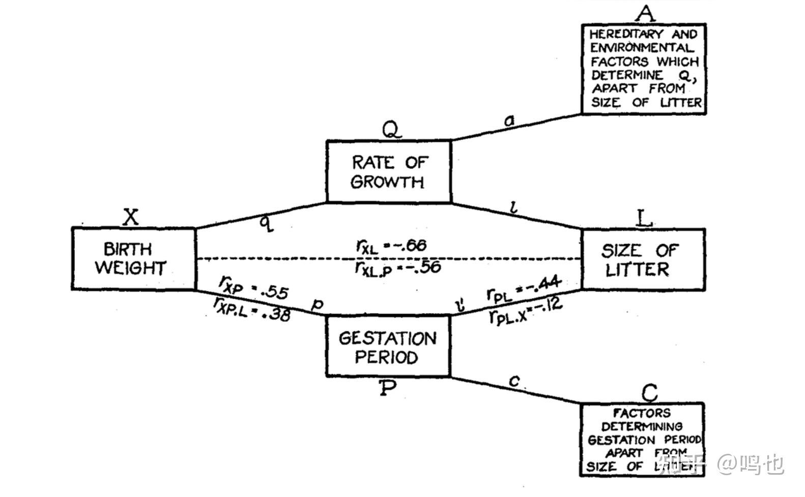  2 structural causal models 