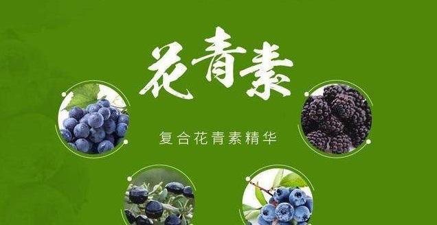 补充花青素对人眼都有哪些作用 知乎 补充花青素对人眼都有哪些作用 知乎