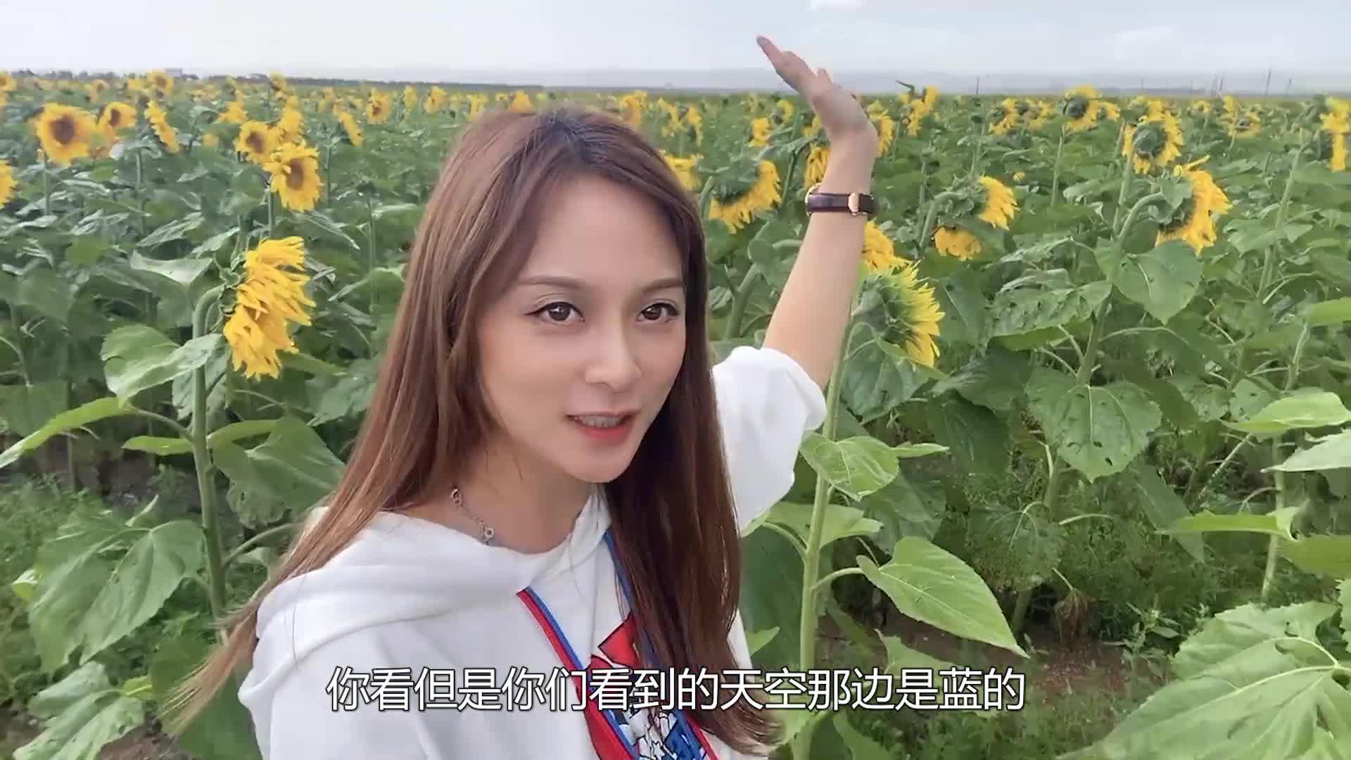 南方妹子到草原牧场近距离接触草原牛群学牛叫引来小牛的围观