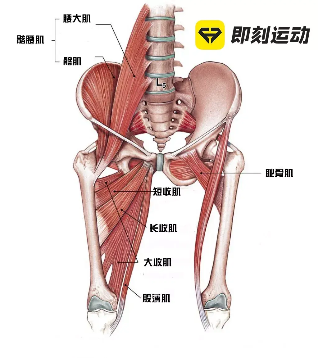 假肢的接受腔磨破大腿怎么处理_优邦假肢矫形器上海有限公司_新浪博客