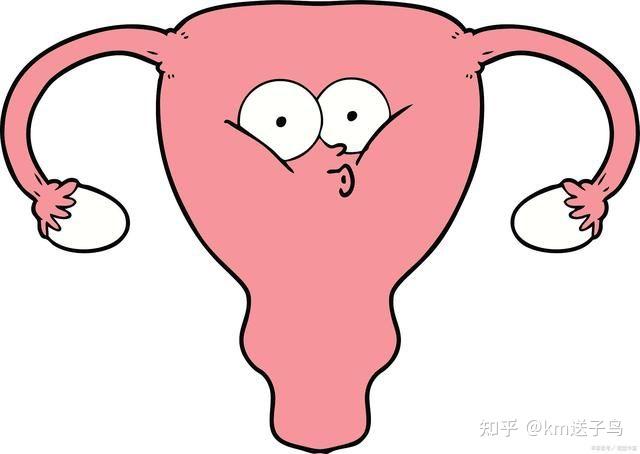 子宫内膜不均是什么情况？会导致不孕吗？ - 知乎