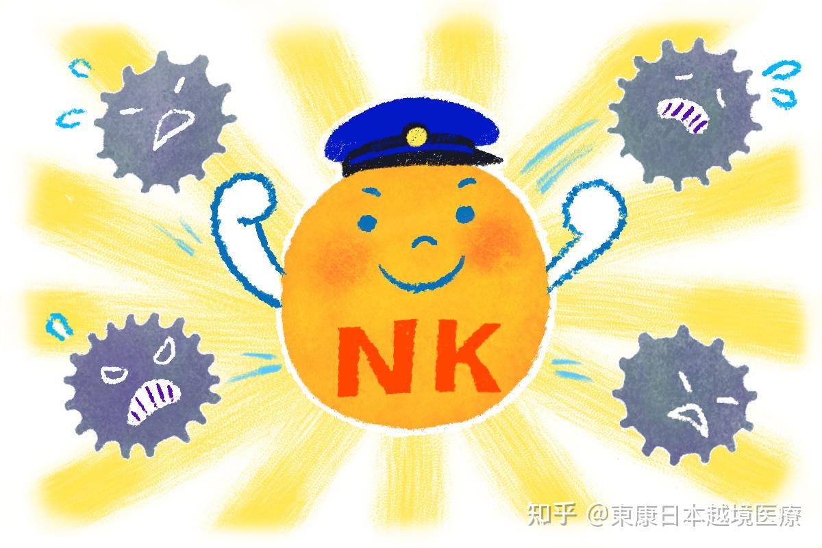 癌症治疗新选择nk免疫细胞治疗