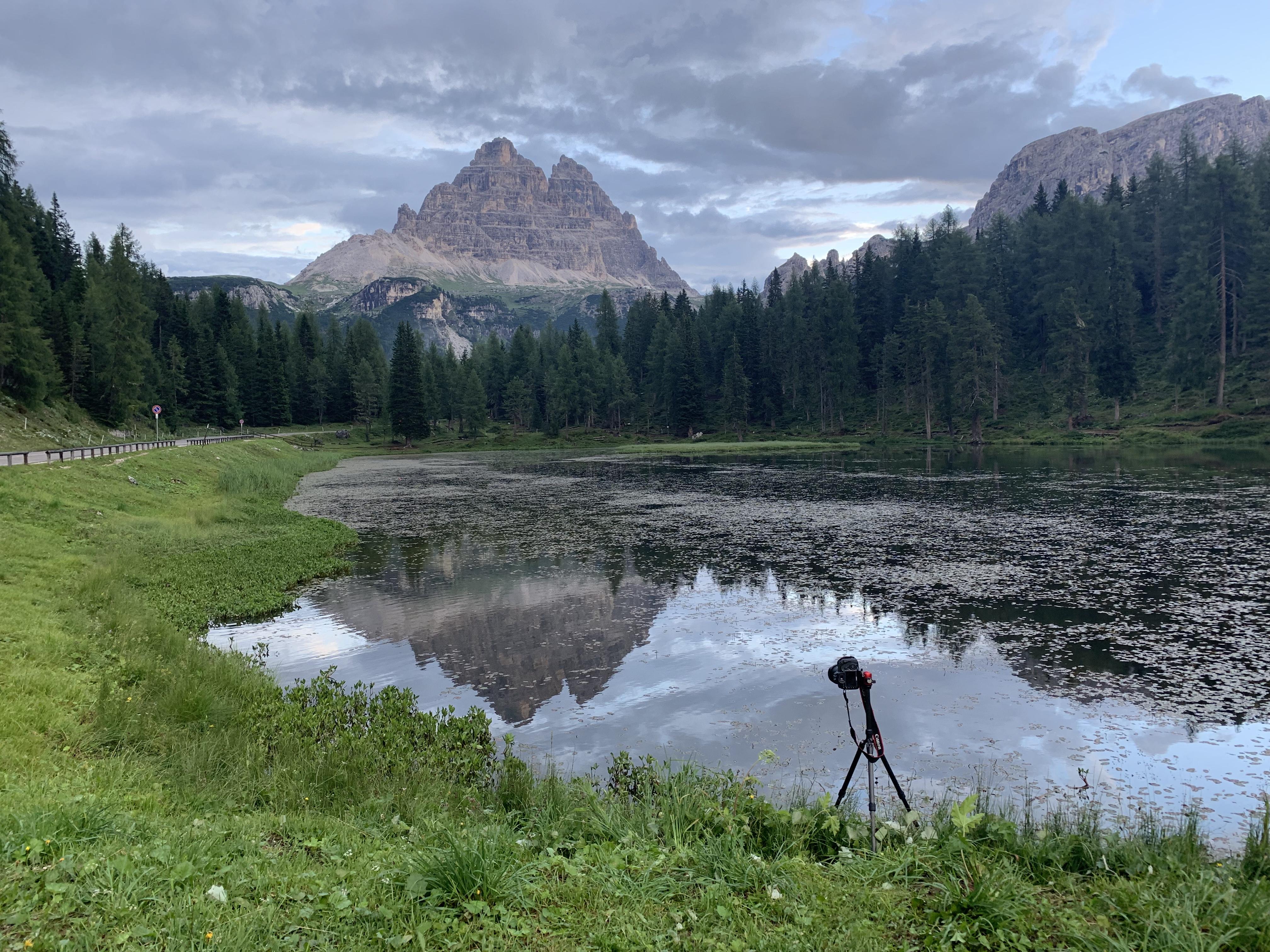 前景:位置恰好的野鸭和泛起的涟漪中景:弥漫着雾气的森林远景:天空