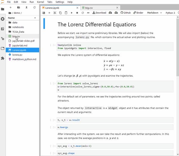  jupyterlab 