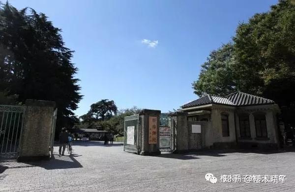 东京赏樱圣地 新宿御苑 知乎