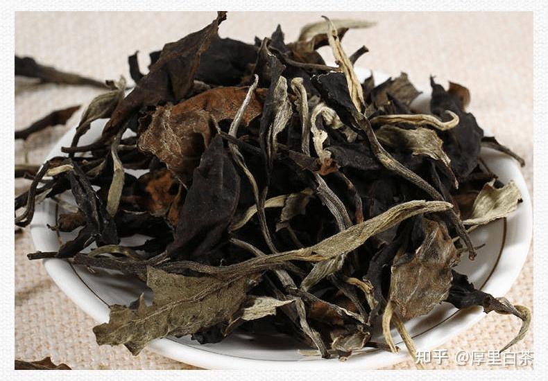 云南古树白茶口感滋味真的有这么好