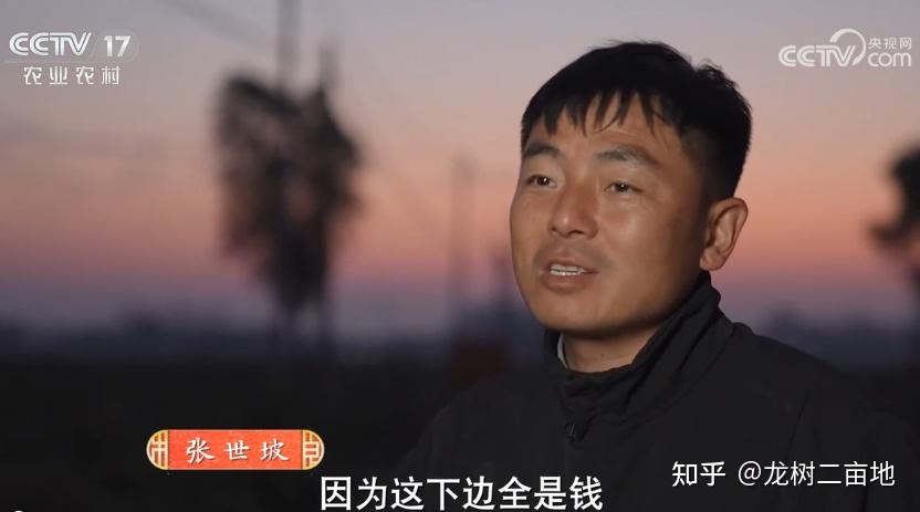回乡创业河南兰考小伙种了200亩红薯亩产3000斤一斤3块钱