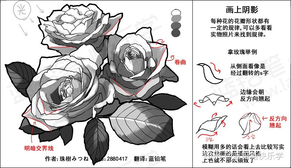 【翻译教程】玫瑰的上色演示_绘画教程