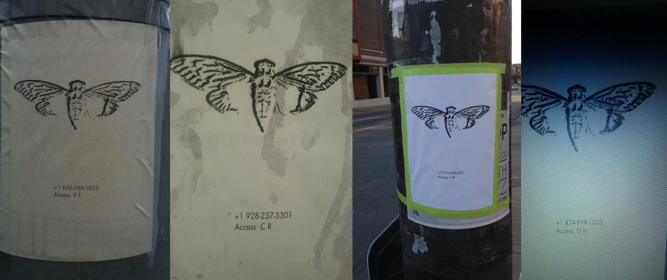 cicada3301一只潜伏于互联网深处的蝉二