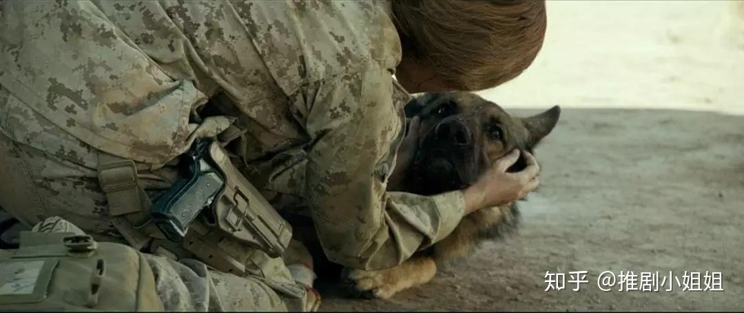 战犬瑞克斯内附资源确认过眼眸遇见对的狗