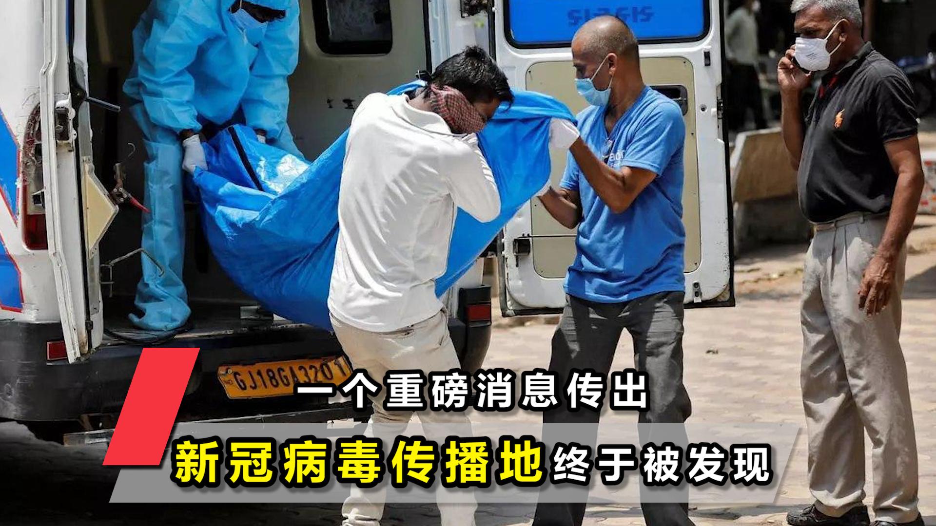 新冠疫情最新消息成都郫县(新冠疫情最新消息成都郫县天气)