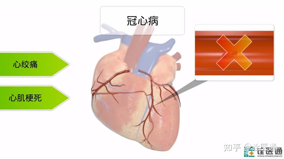 心脏是具有射血功能的器官,是血液循环的动力装置,心脏的心肌组织主要
