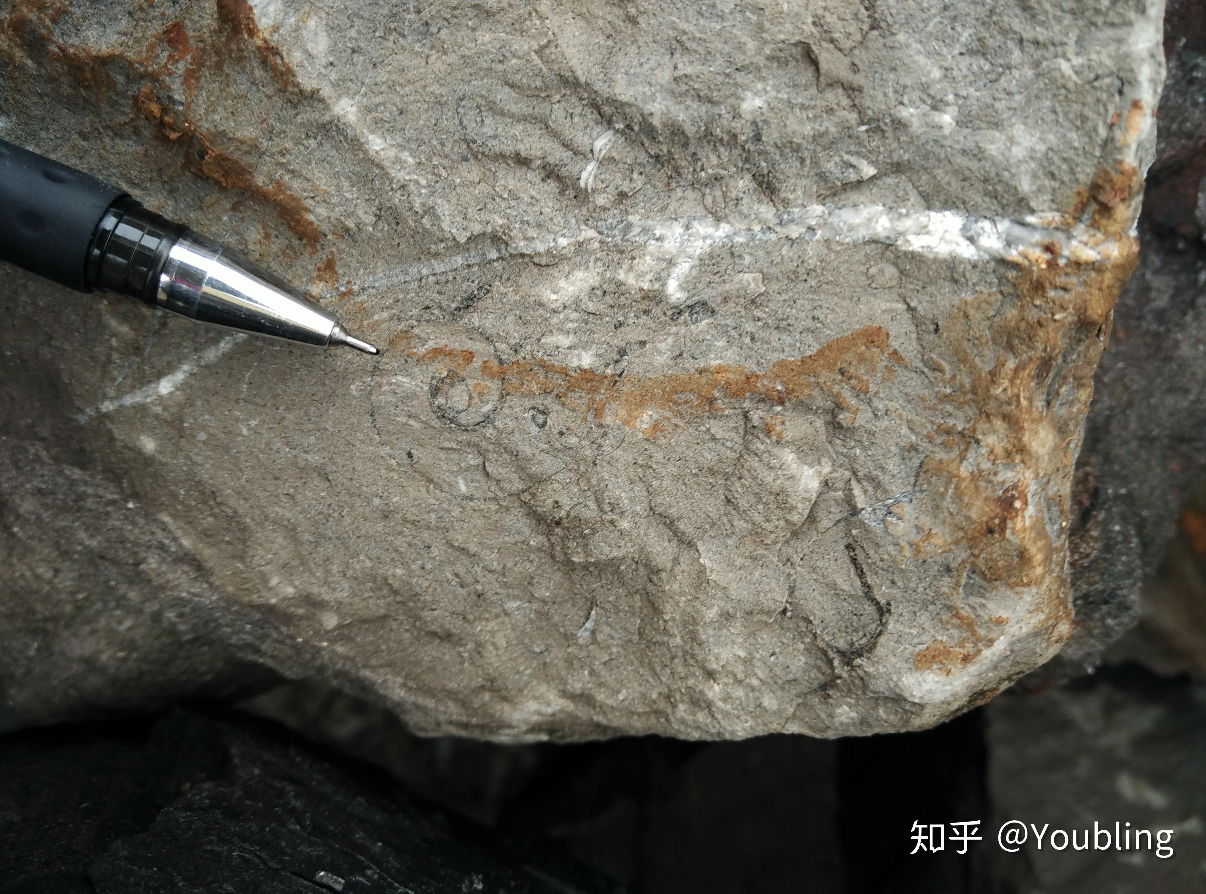 知乎知识库沉积岩