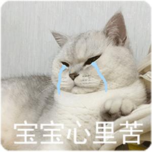 然而一对好不容易攒钱购买的新鞋只是有一点点开胶,丢了浪费,心里也