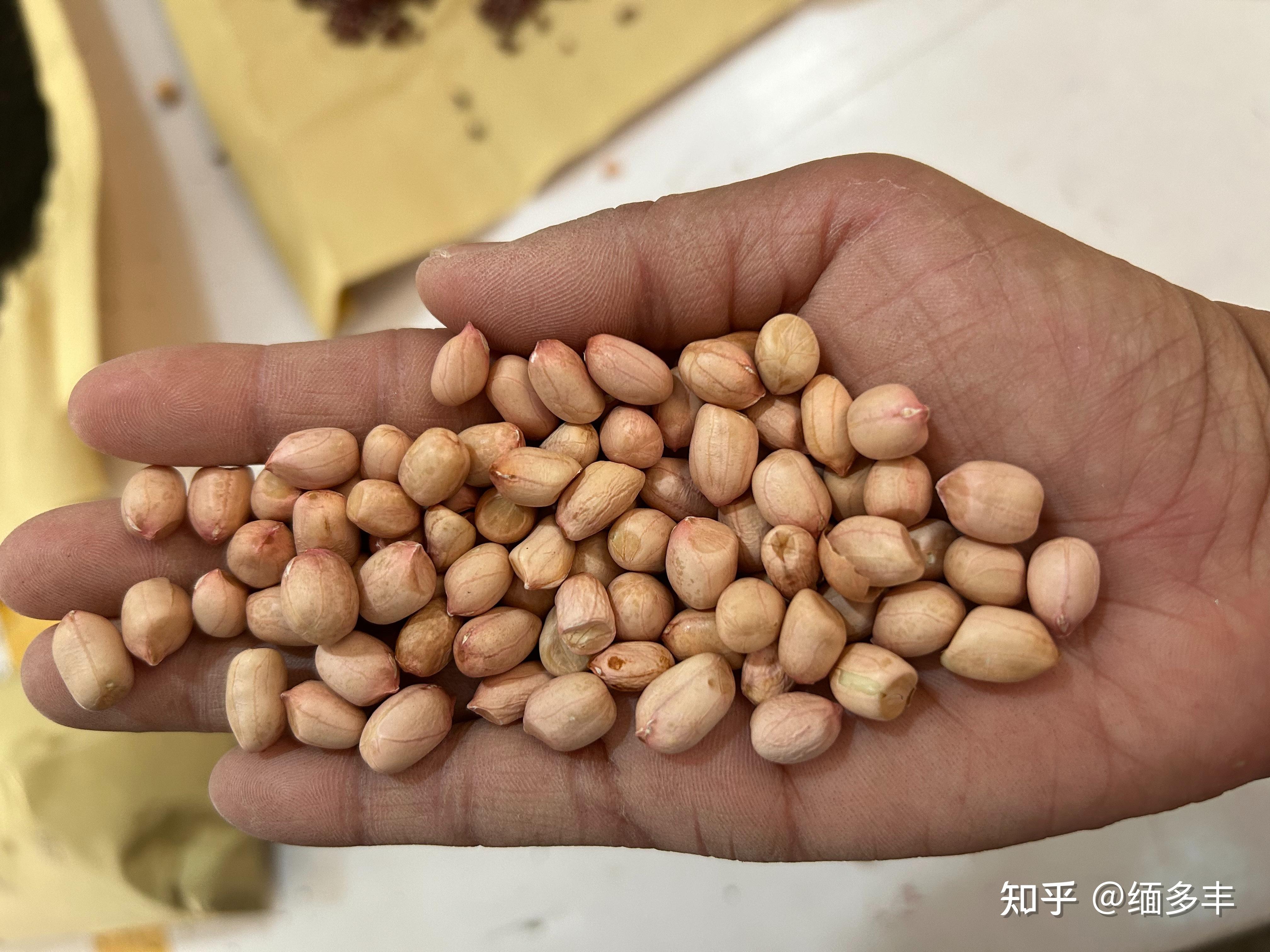 缅甸进口花生米最新价格 - 知乎