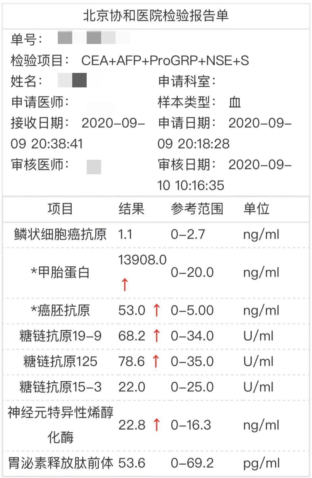 亲历斯里兰卡恐袭的女记者29岁患癌决心回归生活