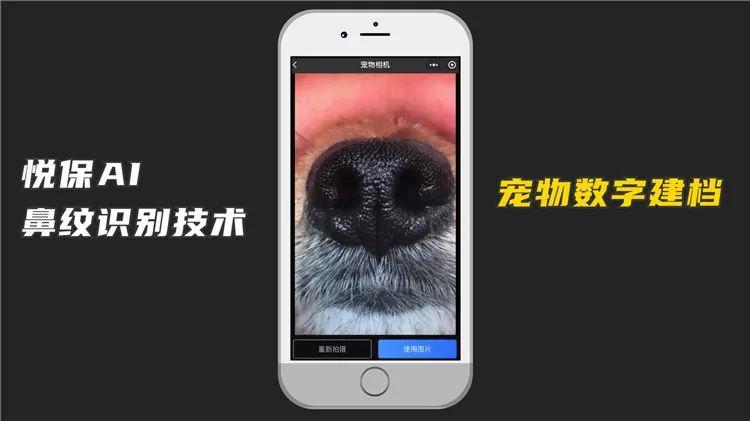 养狗不办证违法宠物ai识别助力狗子刷脸办证