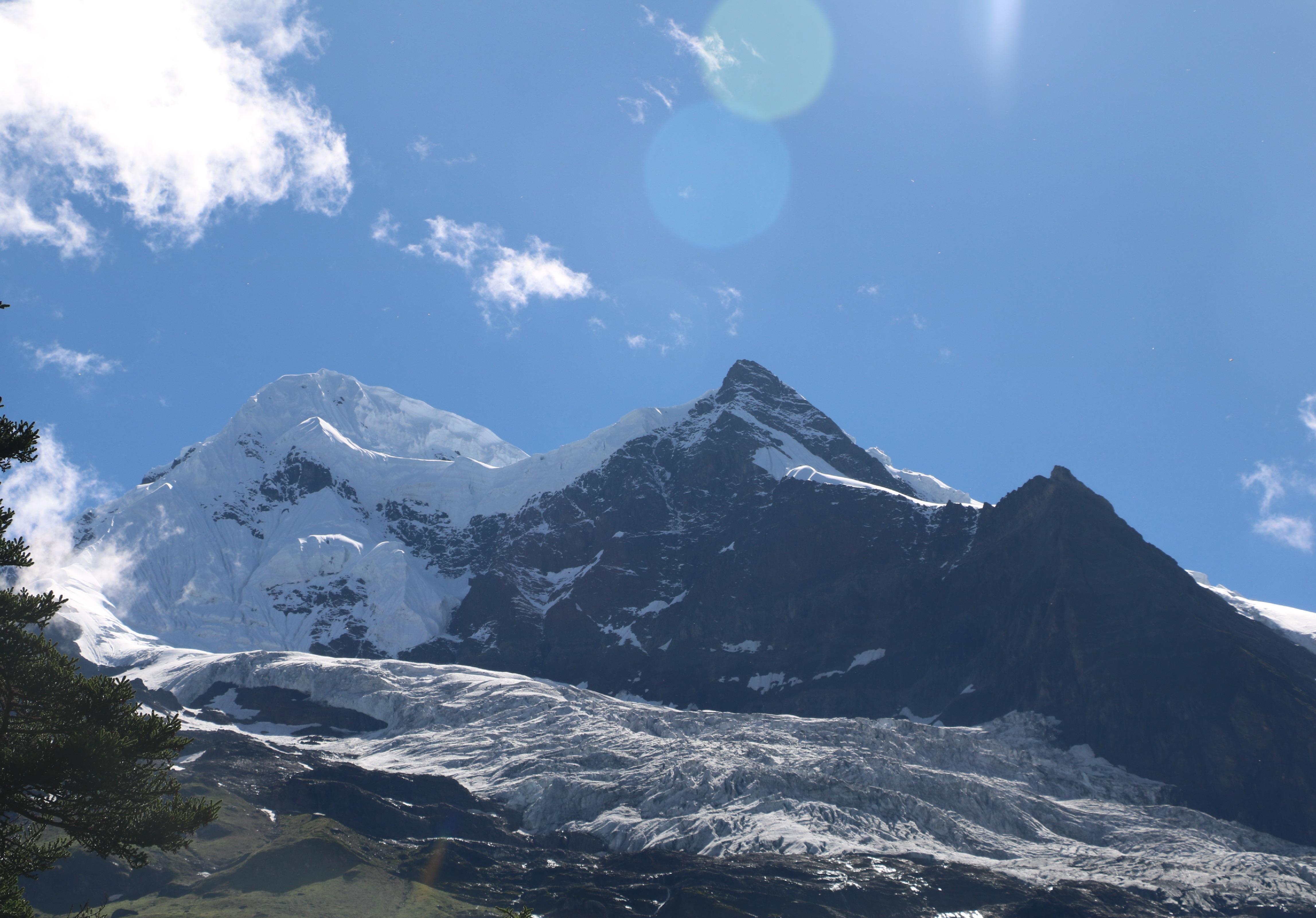 自然足迹横断山区植物小记四凤仙花科虎耳草科