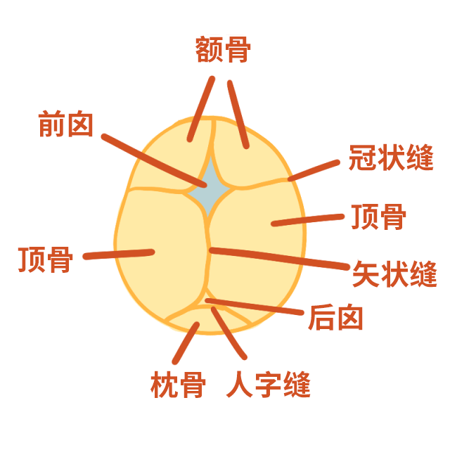 摸了宝宝囟门长不高说话不利索？现实比这还可怕！ - 知乎