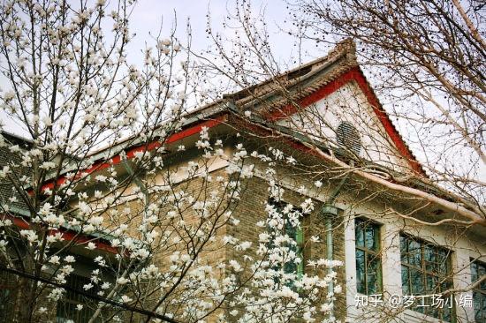 山东师范大学2021年美术类本科专业录取分数线