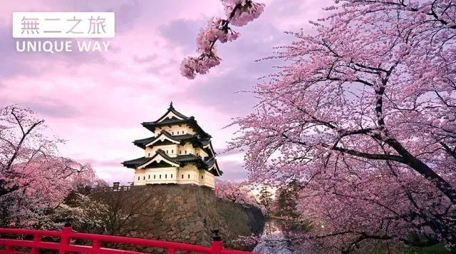 日本樱花季是什么时候,去哪里赏樱好?