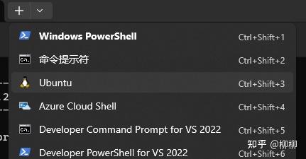 无坑版WSL2+DOCKER+CUDA+cuDNN+python+依赖全流程1 - 知乎