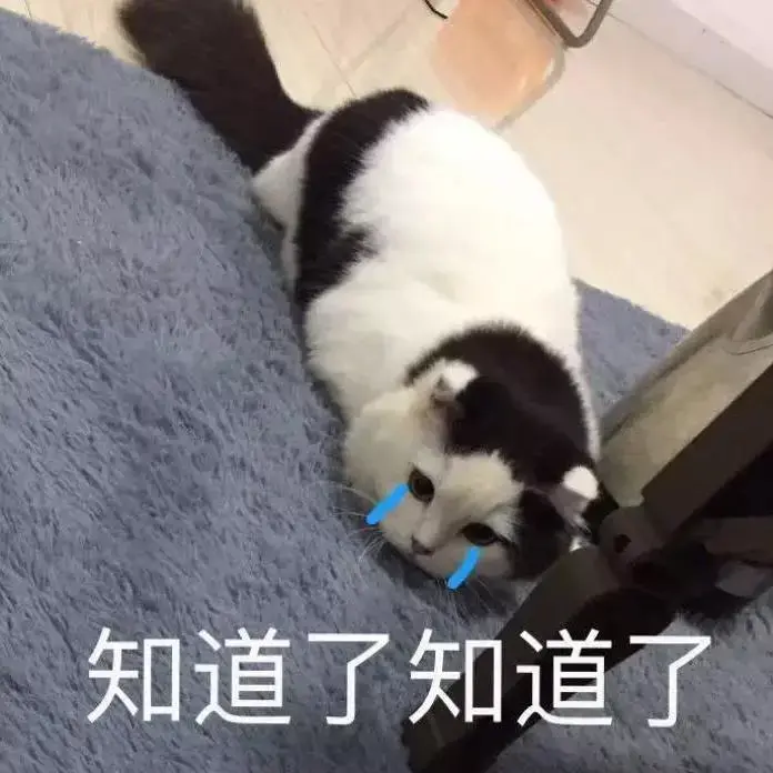 猫沙雕表情包傻吊图片