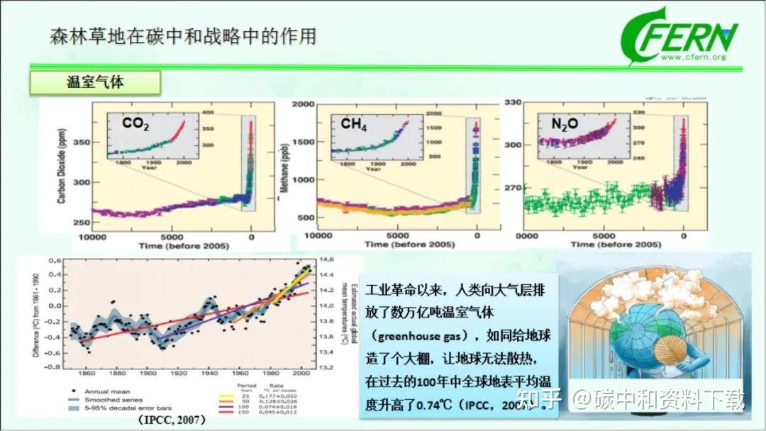 国际碳汇林标准图片