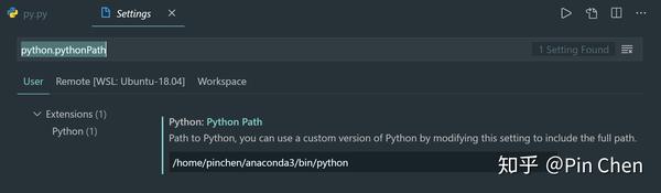 vscode-python-code-runner