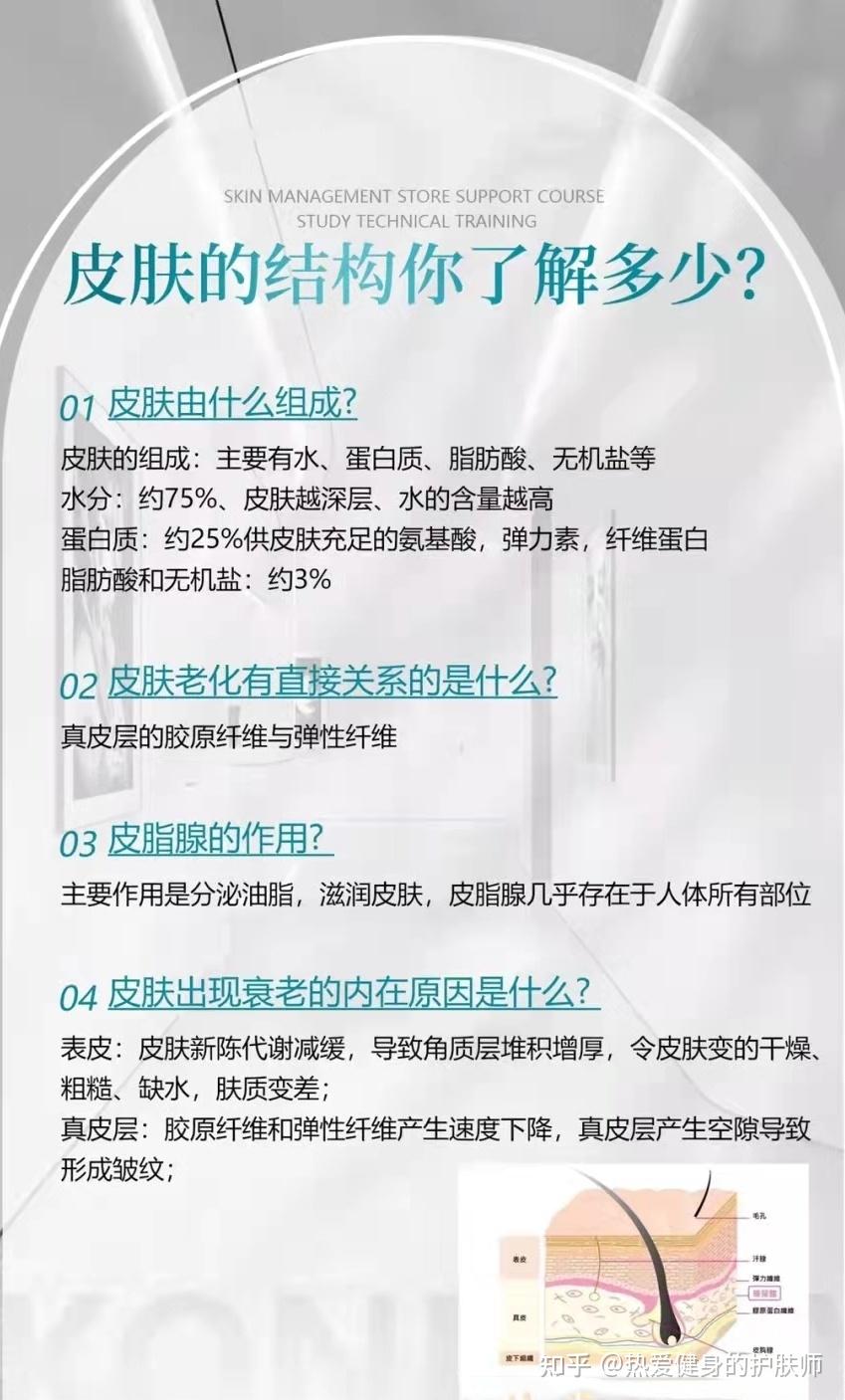 第三集一看就懂的皮肤结构和皮肤专业知识 - 知乎